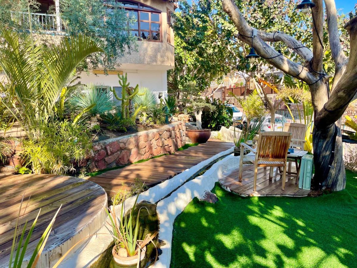 Apartment Oasis Garden *